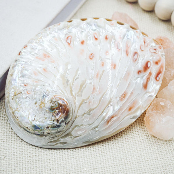 Natural Pink and Pearl White Abalone Shell